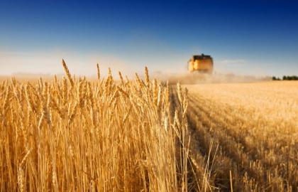 Выдано экспортное портфолио аграрного сектора Украины-2018 