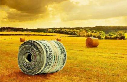 Обсяг іноземних інвестицій в український агросектор в січні-березні склав $11,7 млрд