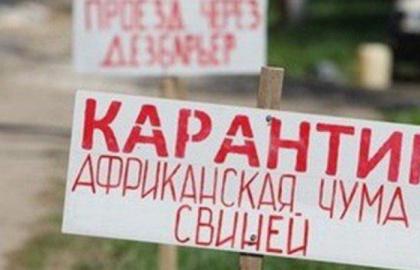 В Україні зафіксовано ще чотири випадки АЧС, – Держпродспоживслужба