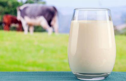 IFCN: by 2030 milk production and demand for it will grow by 35% 