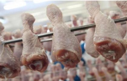 Украина увеличила экспорт мяса птицы на 18% 