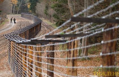 Болгарія побудує паркан проти АЧС на кордоні з Румунією