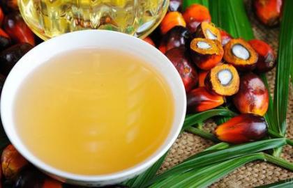 Verkhovna Rada expects to forbid the use of palm oil in products