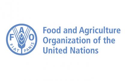 ФАО планує запуск в Україні двох важливих агропроектів