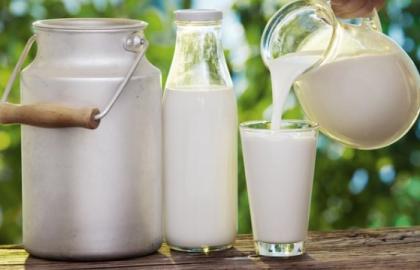 Processors have refused to purchase milk from private traders since July