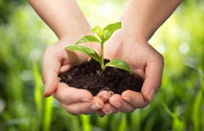 На пути осознания преимуществ естественного: по итогам анализа рынка биопрепаратов для защиты растений
