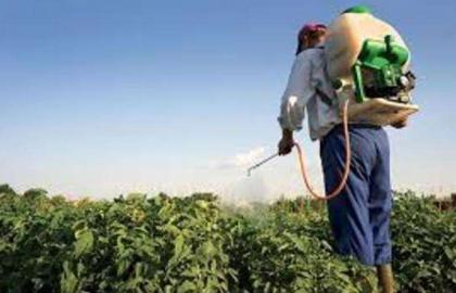 Думка: Україні потрібен новий закон для регулювання ринку пестицидів