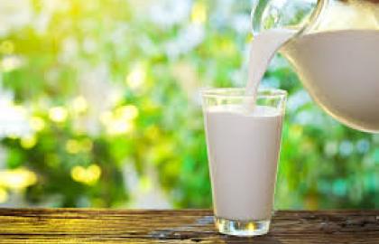 Більше половини молока в України виробляється в тіні