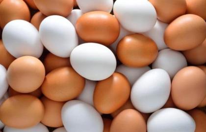 Ukraine over the past year has reduced the production of milk and increased the production of eggs