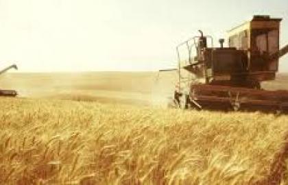 В парламенте зарегистрировали аграрную стратегию Украины 