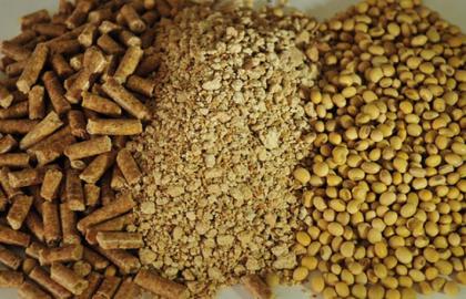 Ukrainian producers reduce prices for soybean meal