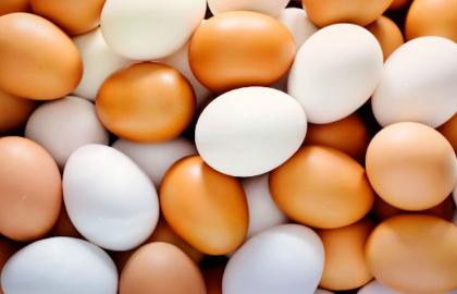 Гонконг заборонив експорт українських яєць без дотримання норм