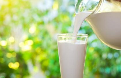 Виробництво молока в Україні продовжує знижуватися