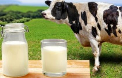 В Україні частка молока першого ґатунку зросла у 7 разів