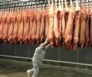 Експорт свинини за рік скоротився майже в 11 разів у грошовому еквіваленті