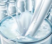 Експорт молочних продуктів зріс на 22%