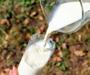 Производство молока в хозяйствах Украины уменьшилось на 0,9%
