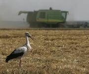 Сельхозпроизводство в Украине продолжает сокращаться