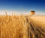 2018 Ukraine's agrarian sector export portfolio assembled