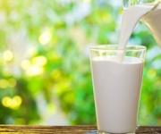 Ситуація щодо дотримання допустимих рівнів радіоактивного забруднення молока в Україні під постійним контролем Держпродспоживслужби