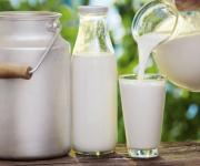 За I полугодие 2018 производители молока получили на 11,3% меньше прибыли 