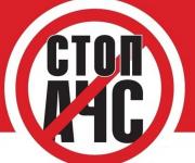 Новые вспышки АЧС зафиксированы в Сумской области