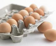 За полгода Украина увеличила экспорт яиц на 43% 