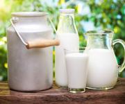 Аграриям, которые хотят заниматься молочным бизнесом, уже сейчас надо объединяться в кооперативы, - Госпродпотребслужба