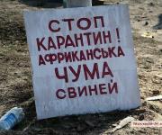 АЧС: новые случаи в Киевской, Херсонской и Донецкой областях