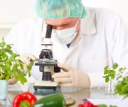 Названі результати перевірок у сфері безпечності харчових продуктів