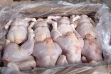 Украина в марте увеличила экспорт мяса птицы на 60%