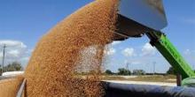 Україна експортувала 41,7 млн тонн зерна