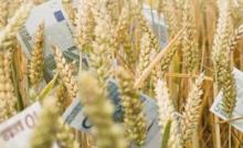 Мінагрополітики та ФАО розробляють програму підтримки аграріїв Донецької 