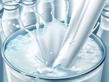 Експорт молочних продуктів зріс на 22%