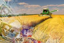За період 2017 року українські аграрії отримали 23 млрд грн виручки