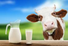 У січні-вересні 2017 року Україна виробила 8,1 млн т молока