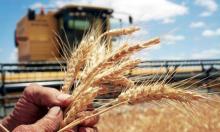 Аграрный бизнес в Украине: глобальные вызовы и роль экономической науки