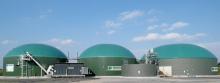 Animal waste will be recycled in biogas in the Donetsk region