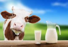Переработчики переключаются на молоко, произведенное на фермах