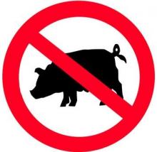 An outbreak of the African swine fever was recorded in Bukovina in Vyzhnytskyi region