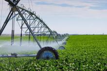 Ukraine annually loses about $ 1.5 billion for a low level of irrigation of agricultural land