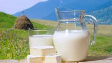 Ukrainian milk index continues to grow