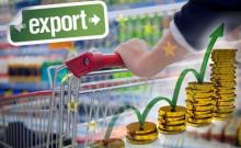 What records did Ukraine beat in agrarian exports in 2017