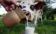 Ban on the sale of homemade milk will take force on July 1, 2018