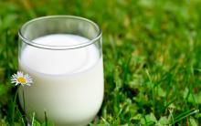Государство будет поддерживать повышение качества молока от населения, не прибегая к ограничениям в реализации