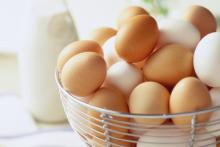 Экспорт яиц из Украины за год составил $ 70 млн