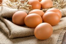 Ціна курячих яєць в 2018 буде коливатися