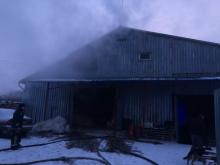 2.5 thousand hens burned near Kyiv 