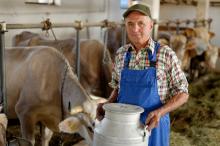 Пріоритетним напрямком державної підтримки визначено молочні кооперативи