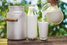 Небольшие фермы наращивают поставки молока на переработку 